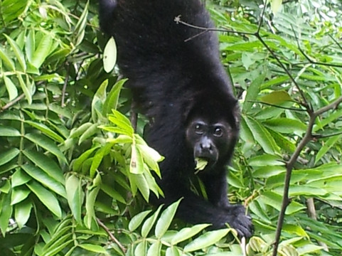 Hotel La Cascada瀑布酒店主图