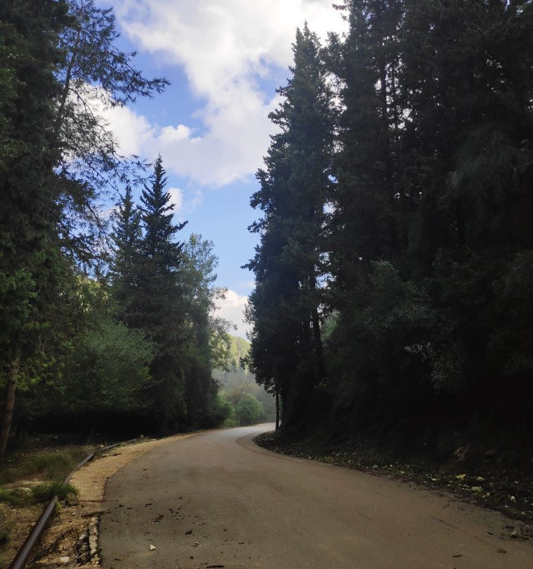 Nachal HaShofet - Shofet River-Ramot Menashe必去景点