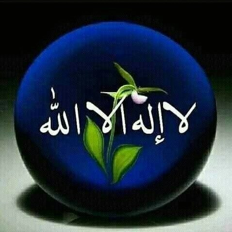 Quran Roundabout-沙迦必去景点