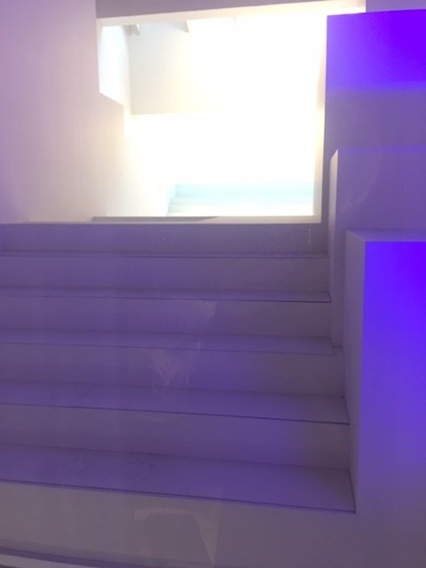 明尼阿波利斯雷迪森广场酒店-酒店景观