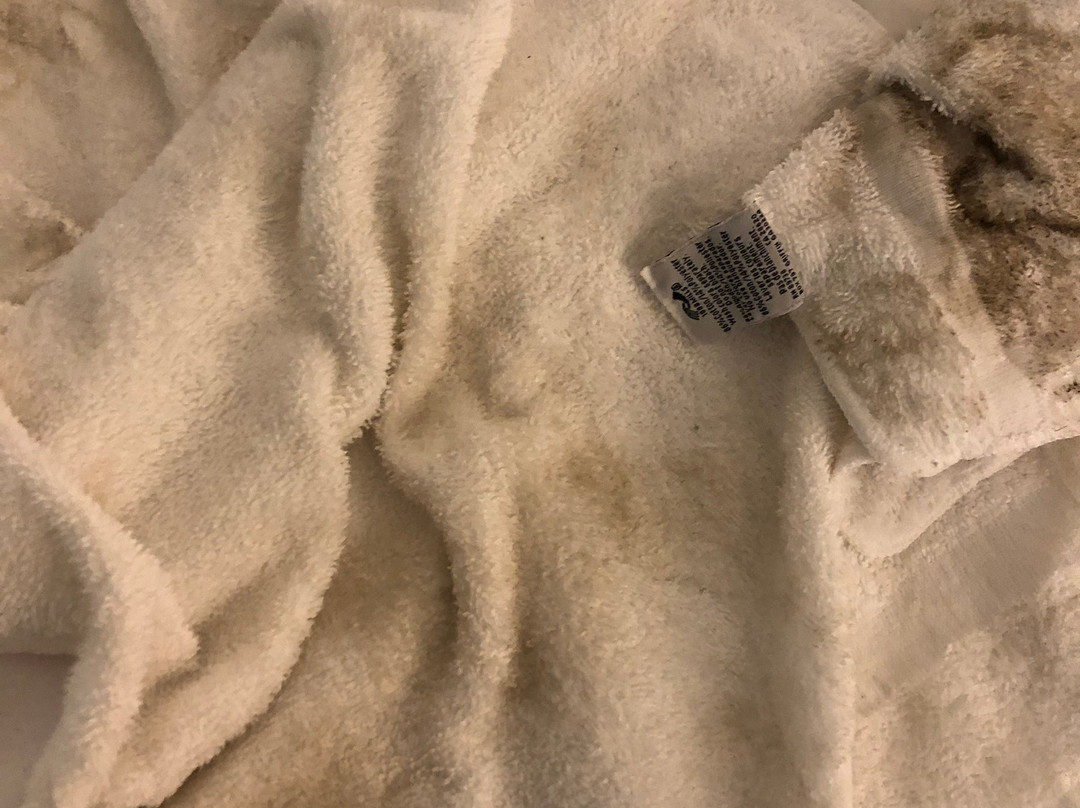 Quality Inn & Suites at Coos Bay主图