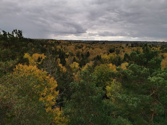Ligatnes Nature Trails-Ligatne必去景点