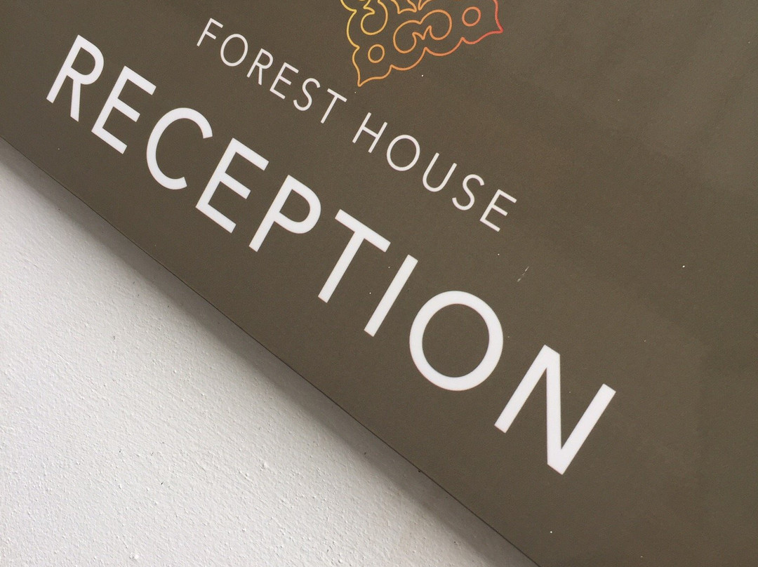 Forest House主图