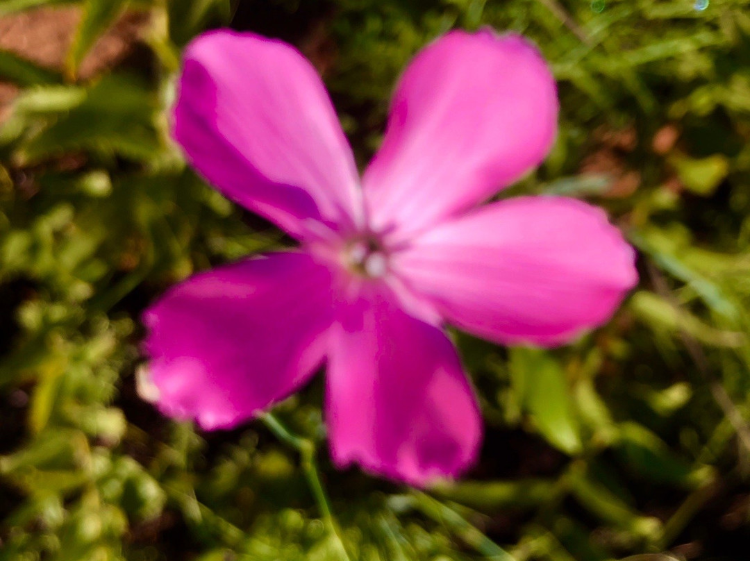 Wetlands Country House and Sheds主图