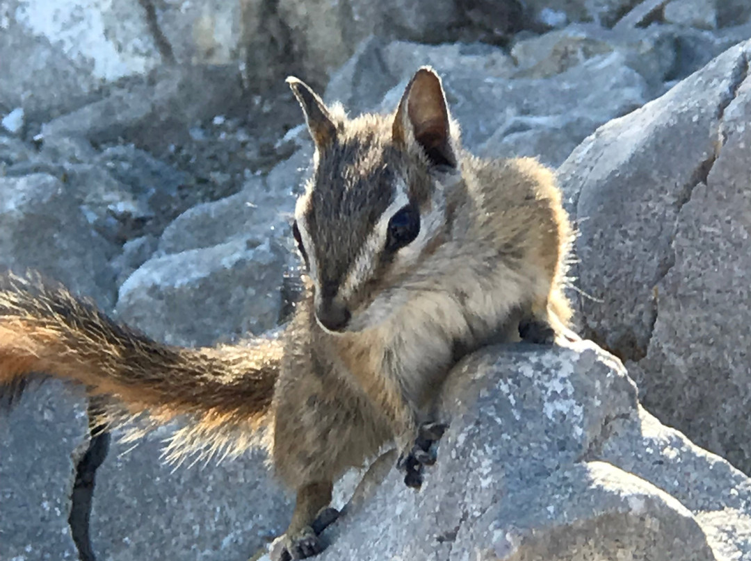教堂石道-拉斯维加斯必去景点