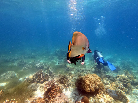 394DIVE-马丹岛必去景点