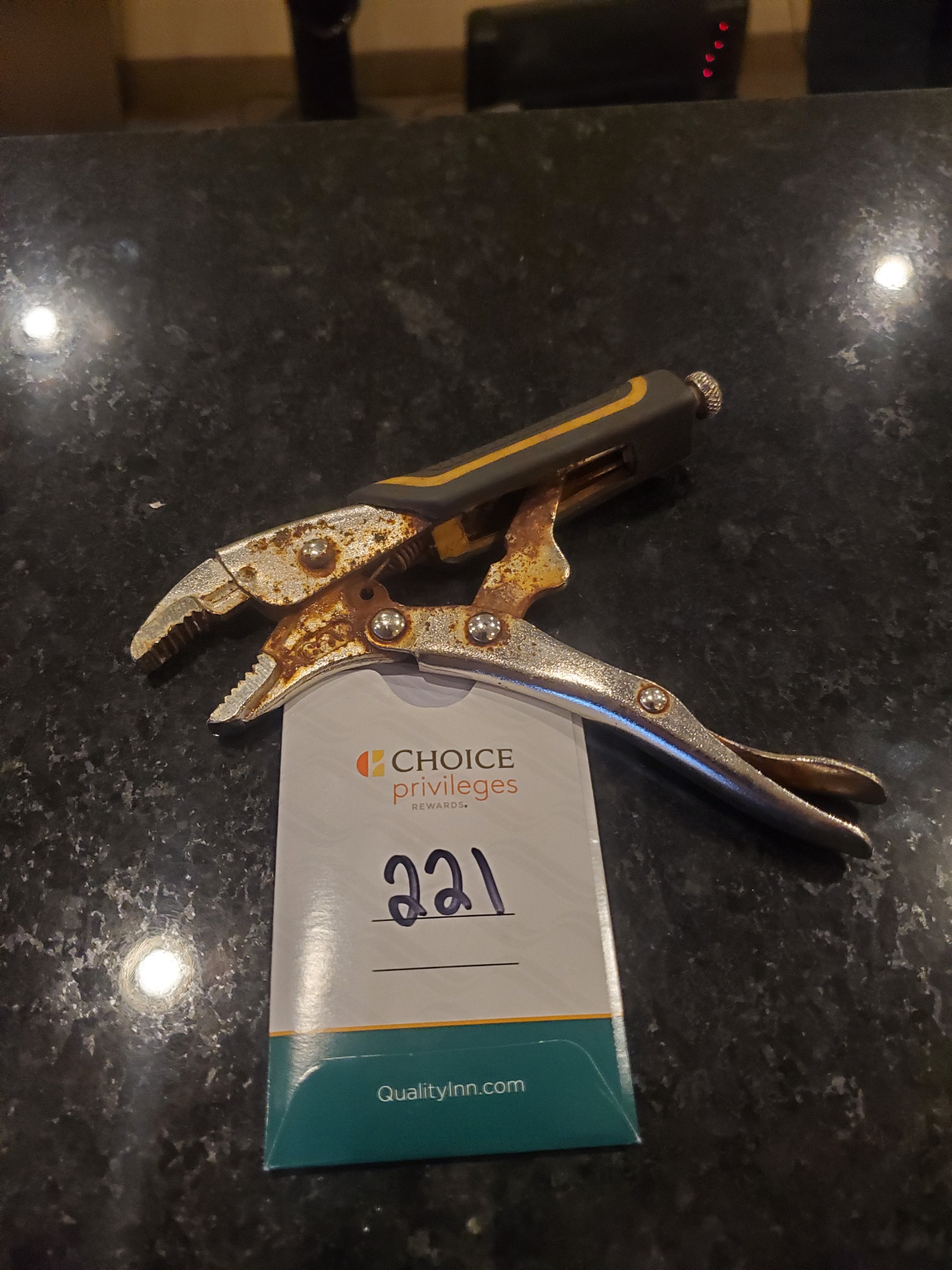 Quality Hotel & Suites Woodstock-portrait