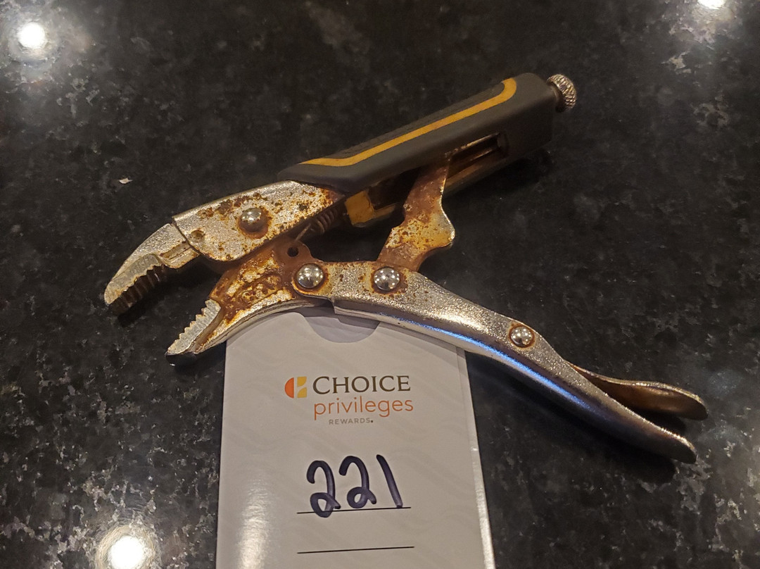 Quality Hotel & Suites Woodstock主图