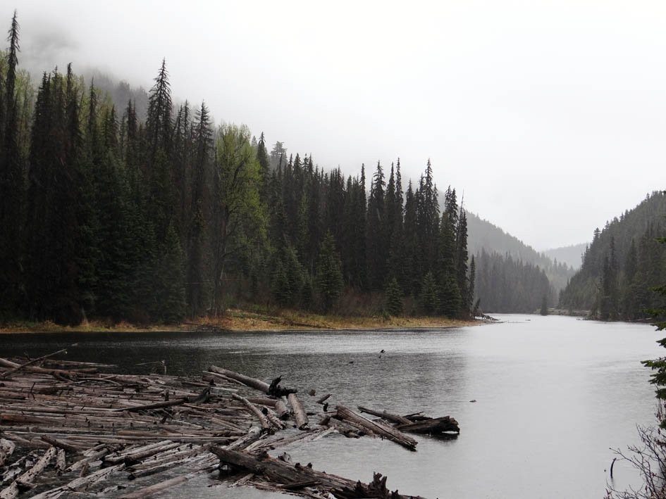Duffey Lake Provincial Park景点图片
