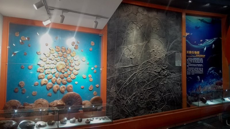 河南地质博物馆-郑州市必去景点