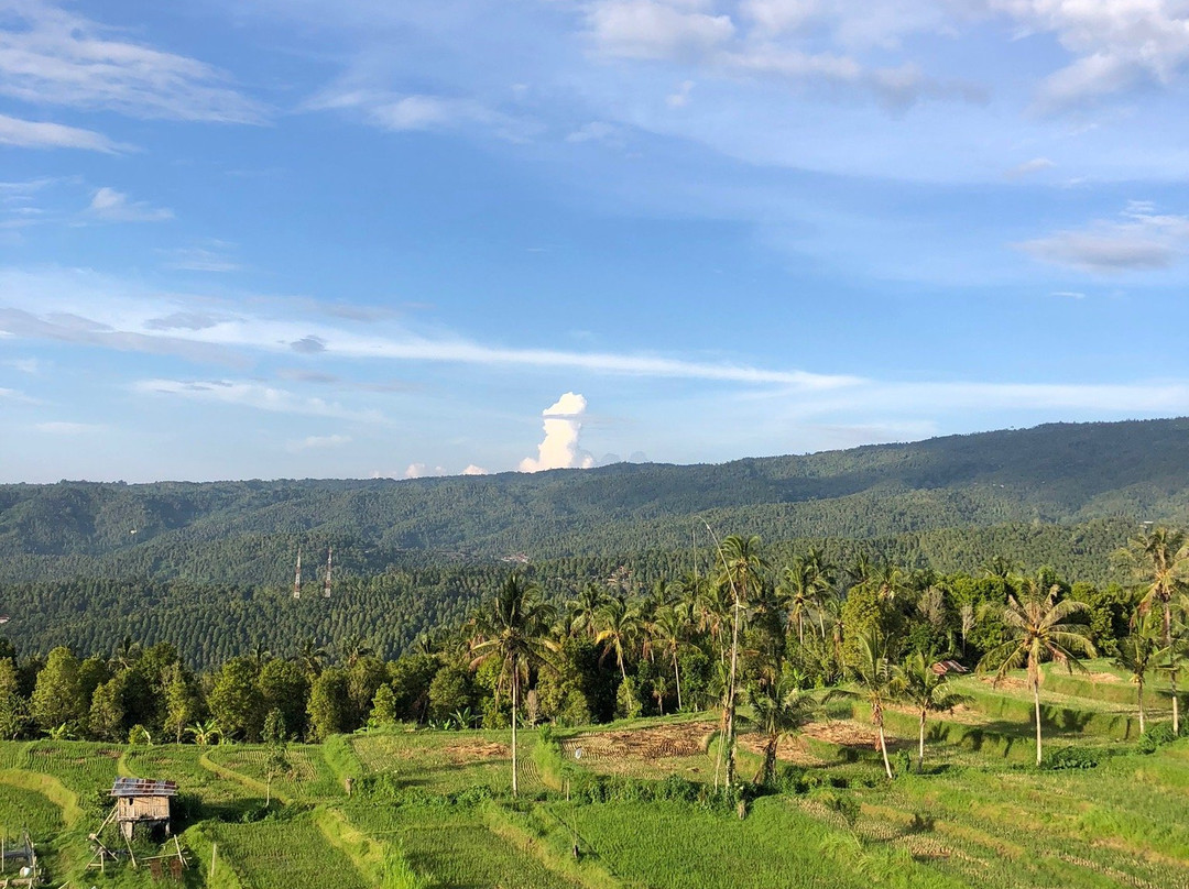 Candra Cottage主图