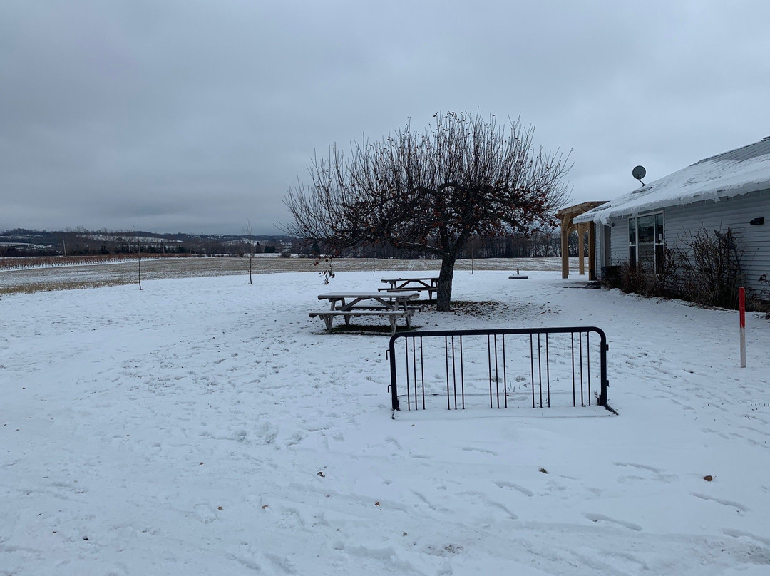 Georgian Hills Vineyards-蓝山必去景点
