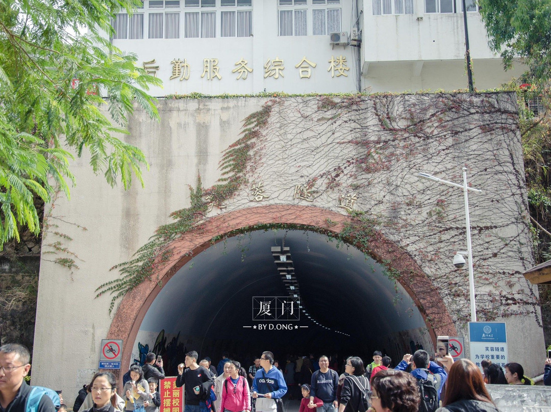 芙蓉隧道-厦门市必去景点
