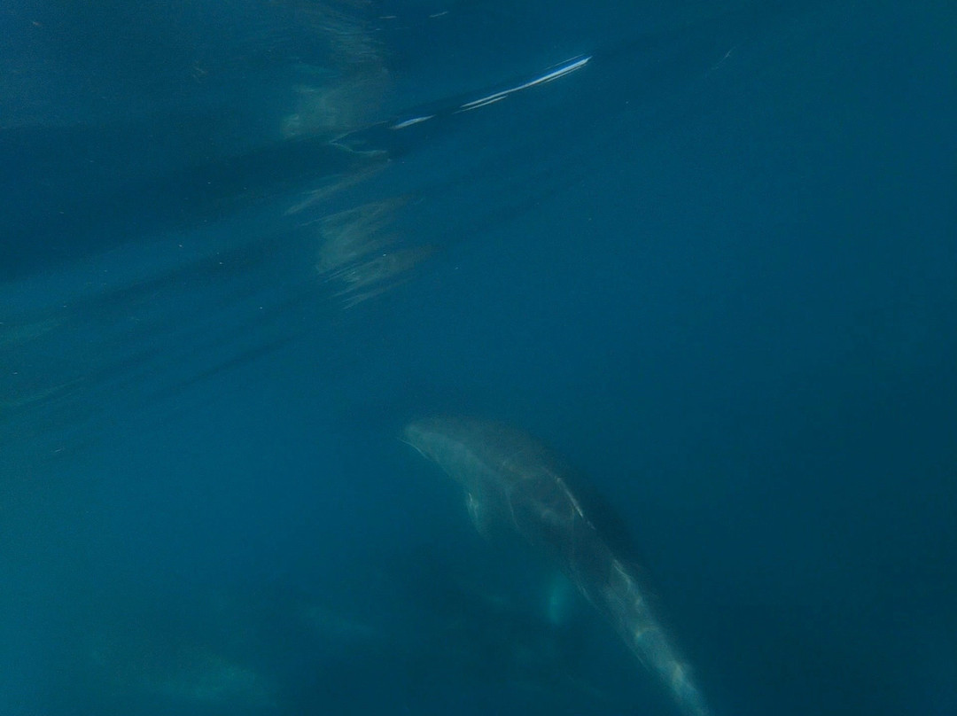 科科莫公寓主图