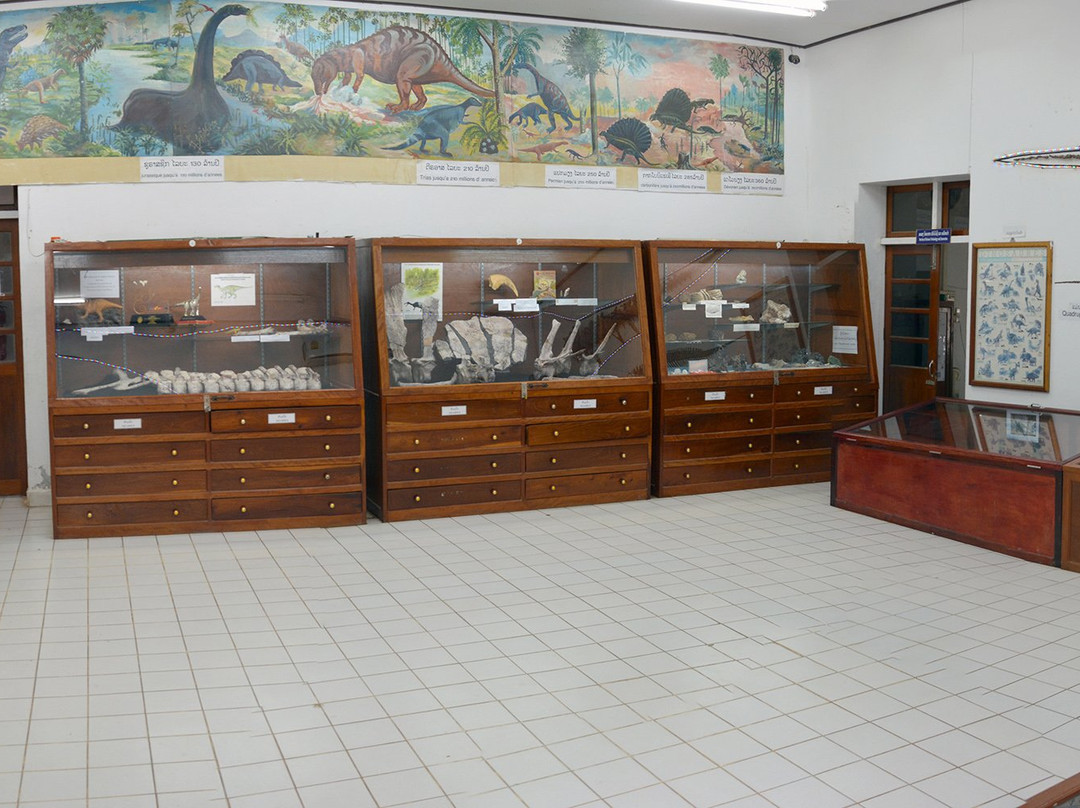 The Savannakhet Dinosaur Museum景点图片