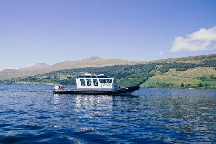 Loch Tay Safaris景点图片