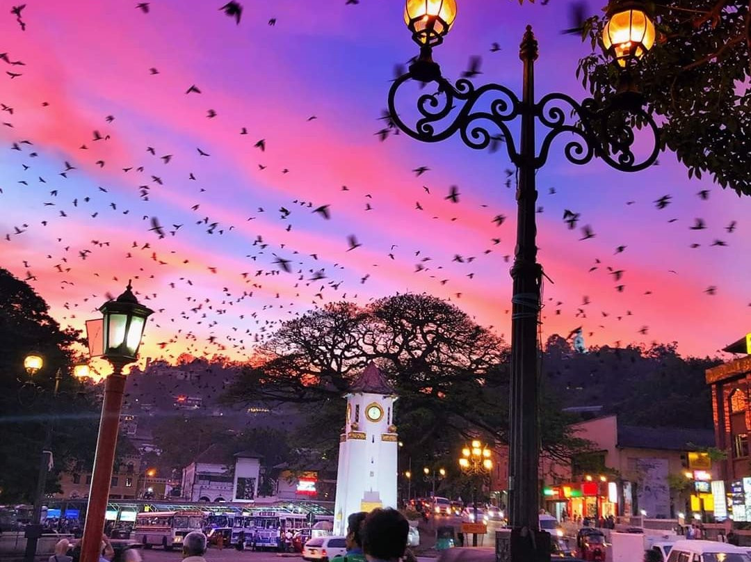 Kandy Clock Tower-康提必去景点