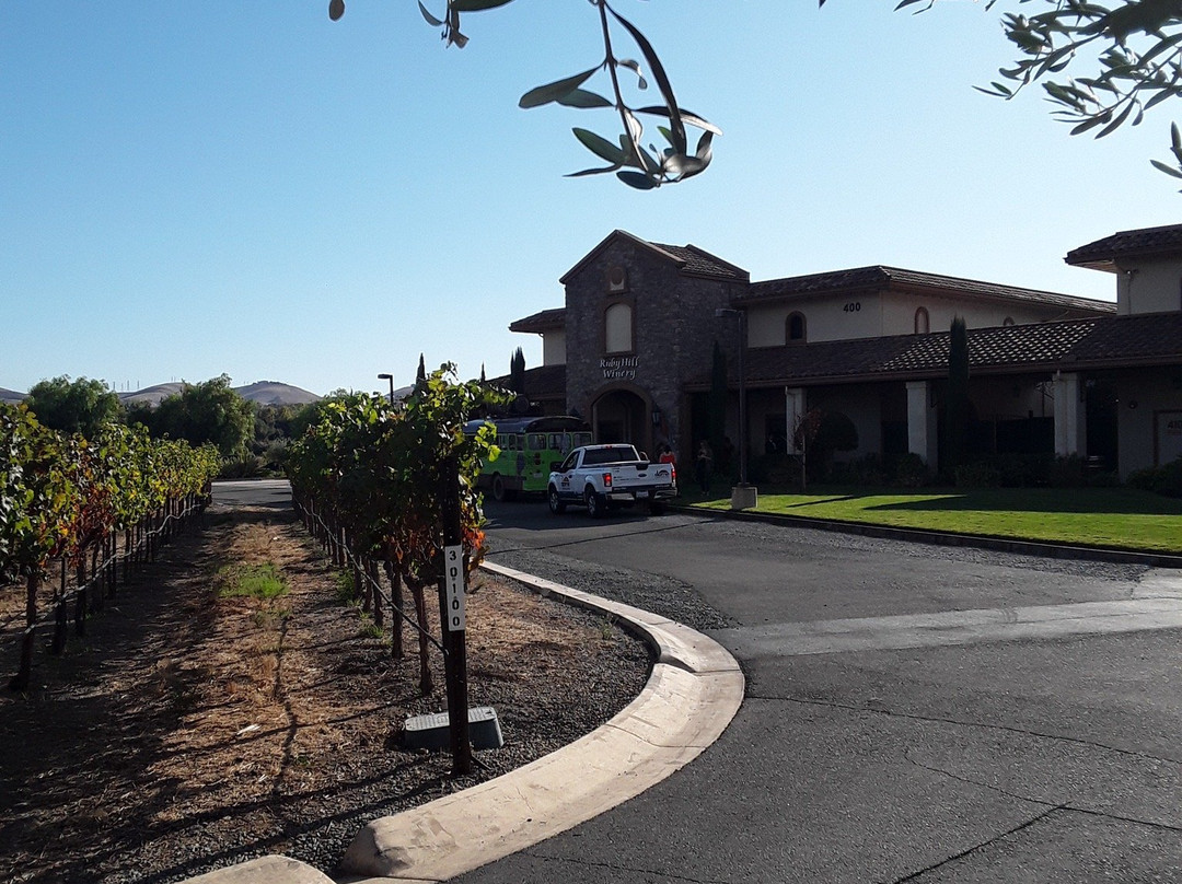 Ruby Hill Winery-普莱森顿必去景点