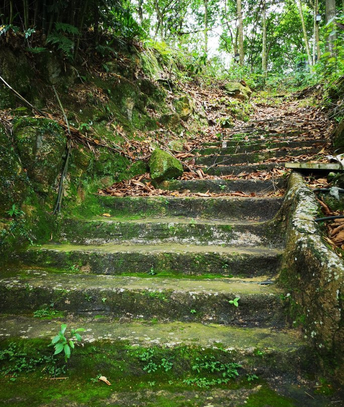 Centipede Temple-芙蓉必去景点