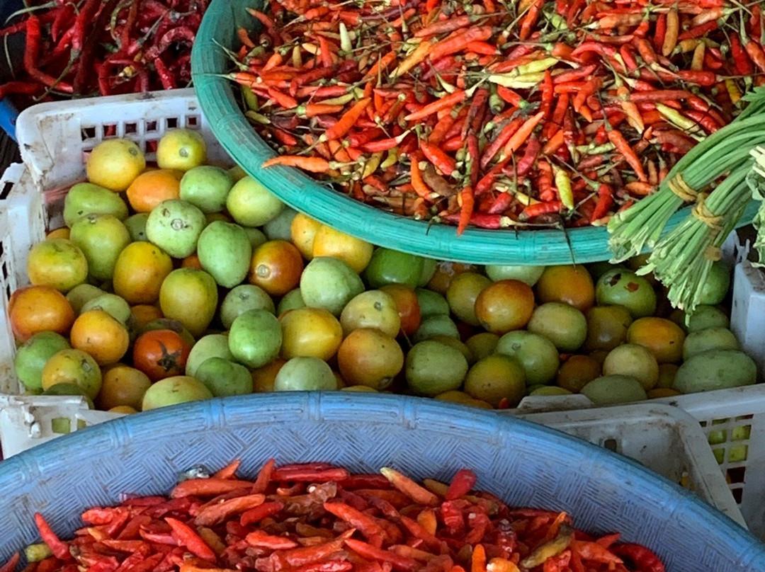 The Belagri Hotel And Convention主图