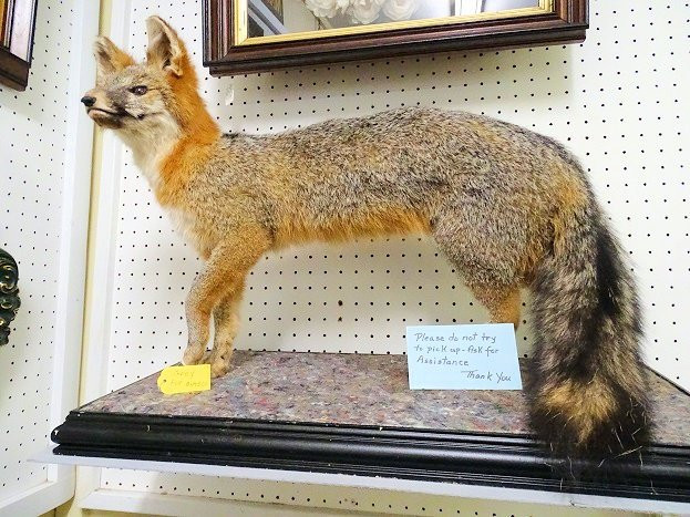 Millbrook Antique Center-Millbrook必去景点