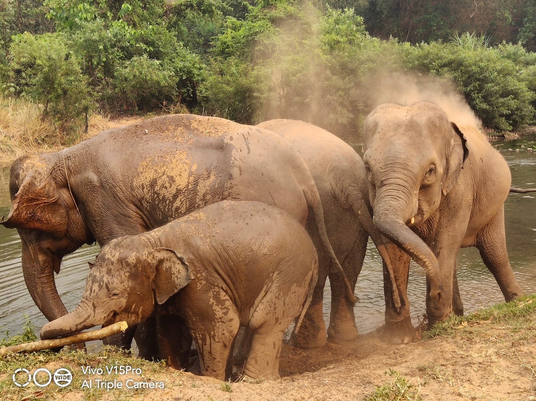 Off The Beaten Track-清迈必去景点