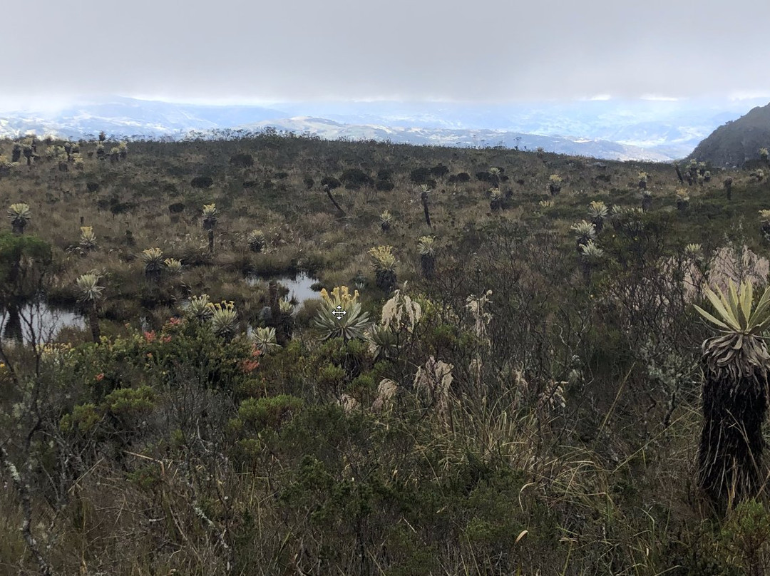 Laguna de Iguaqué景点图片