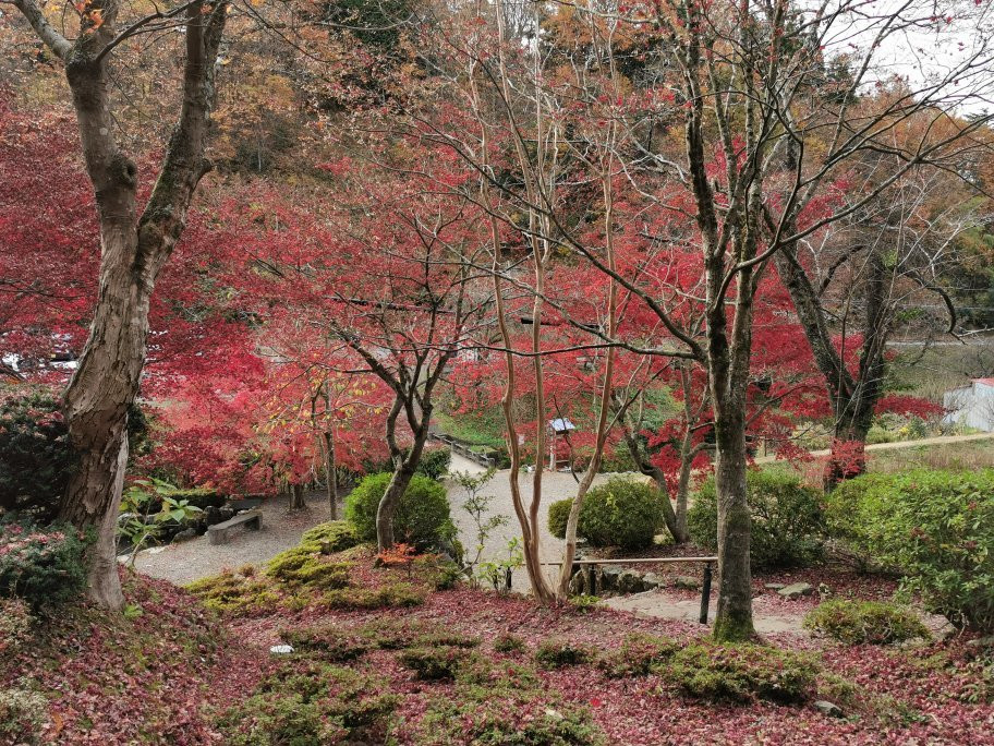 Shakudoji Temple-长滨市必去景点