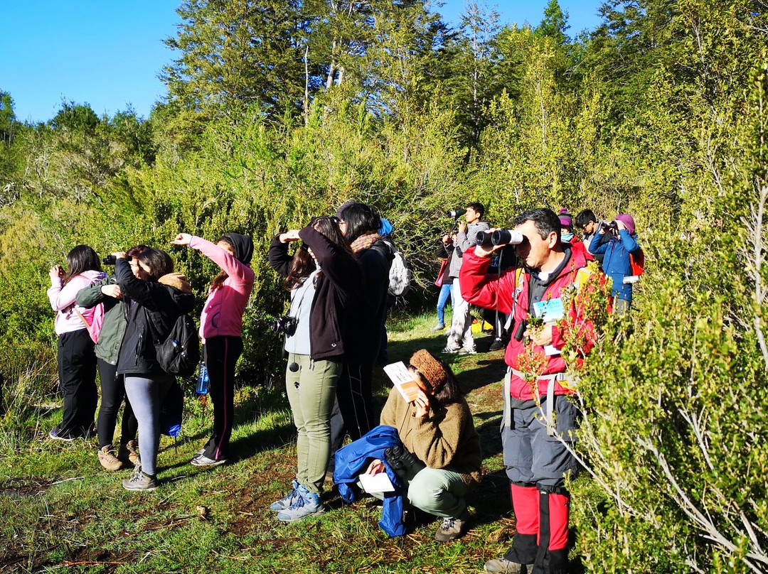 Parque Nacional Tolhuaca-Curacautin必去景点