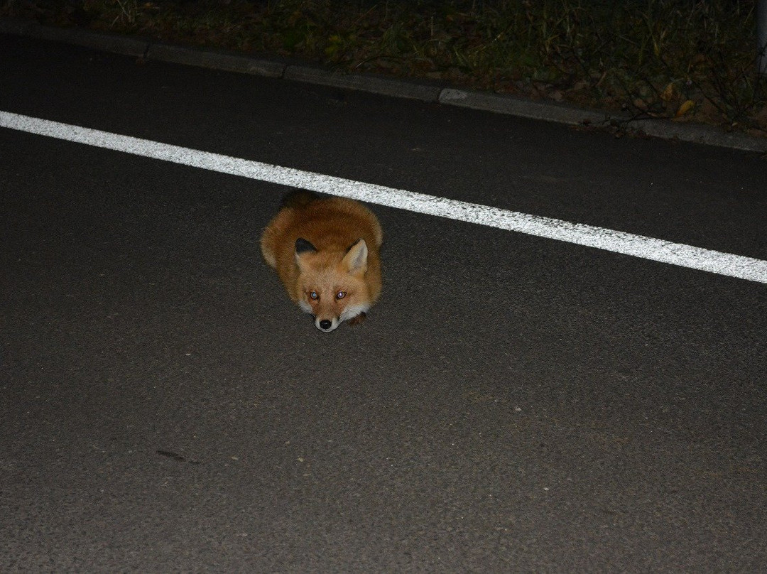 Poroto Swamp-滨中町必去景点