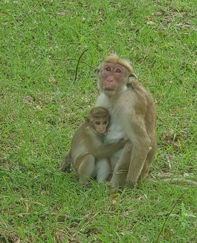 普赖米特中心旅馆主图