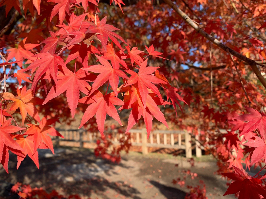 Takanashikan-ato Park-中野市必去景点
