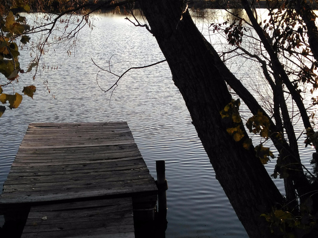 Sedgwick Park-威奇托必去景点