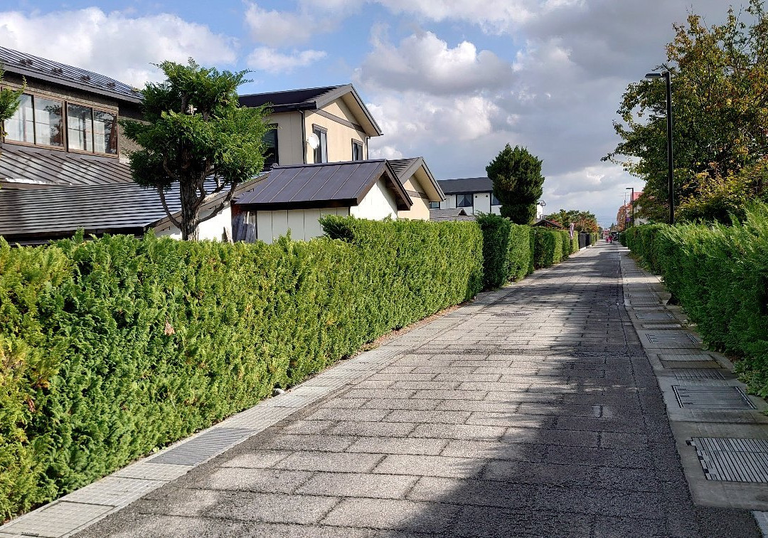 Nakachō Traditional Samurai House Preservation Area-弘前市必去景点