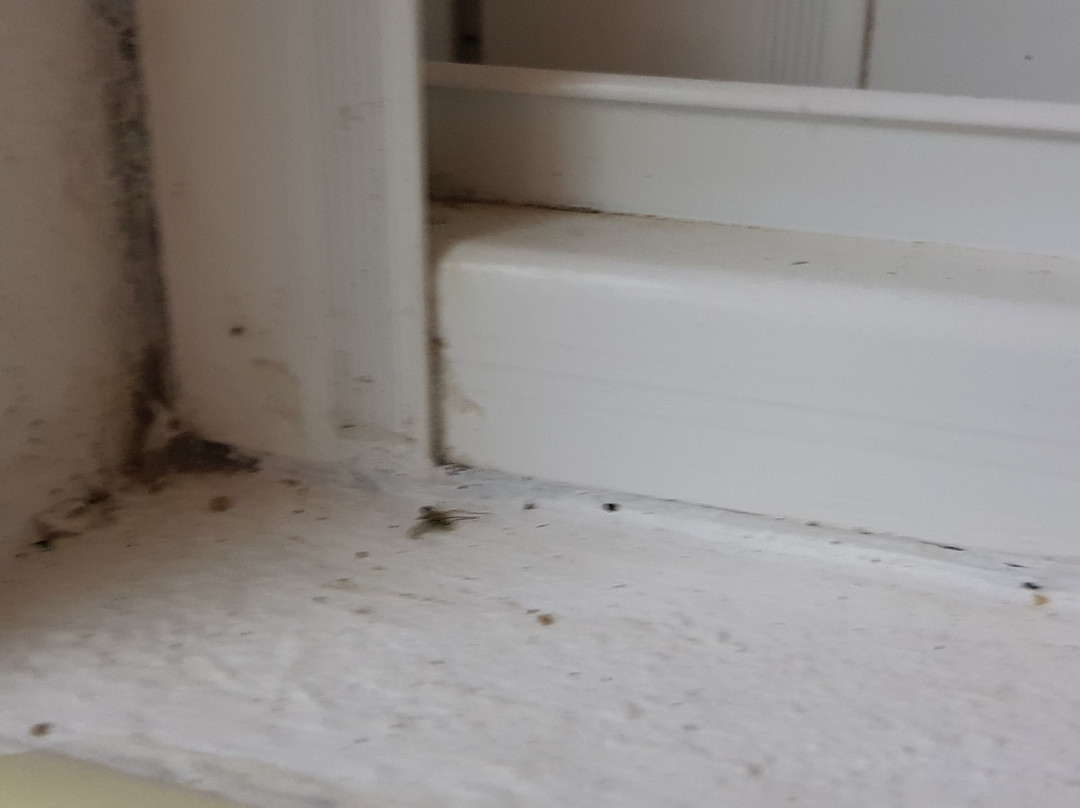 赞博萨自助旅馆主图