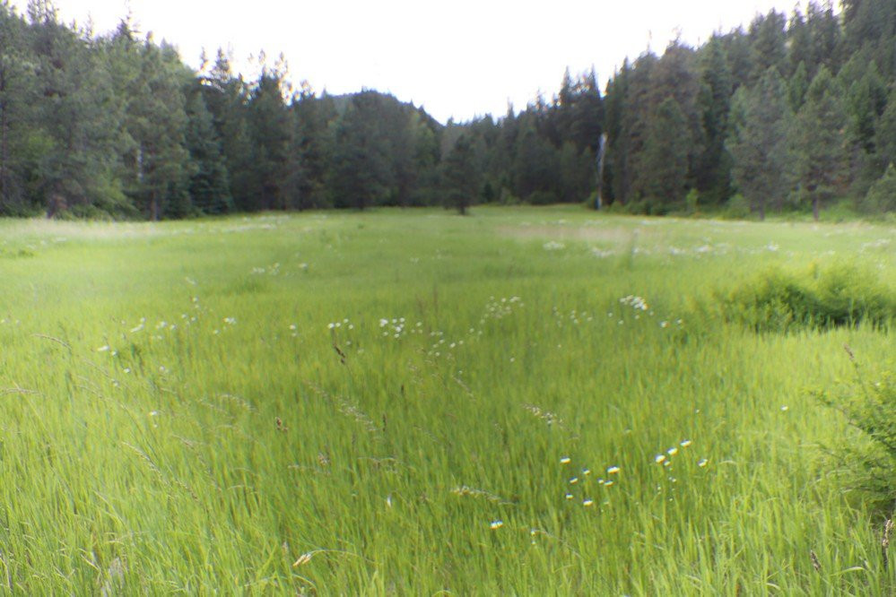 Rattlesnake National Recreation Area-米苏拉必去景点