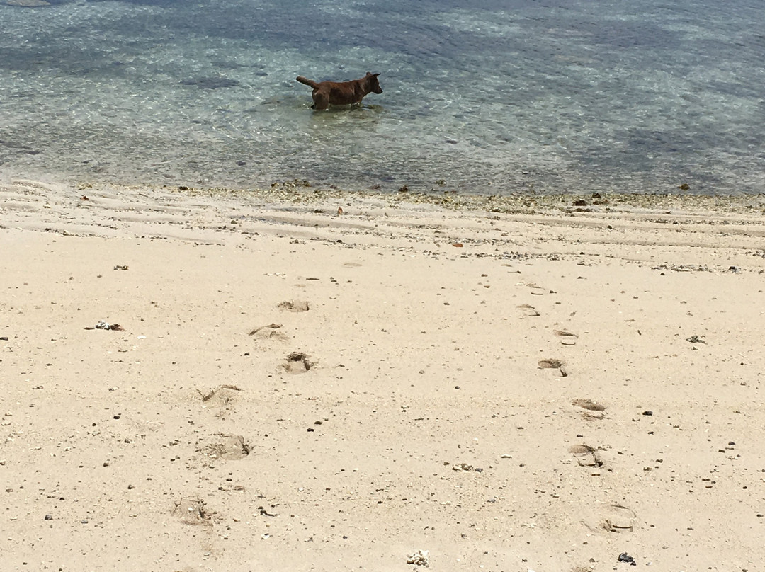 Mare Island景点图片