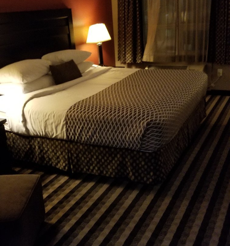 Best Western Blairmore主图