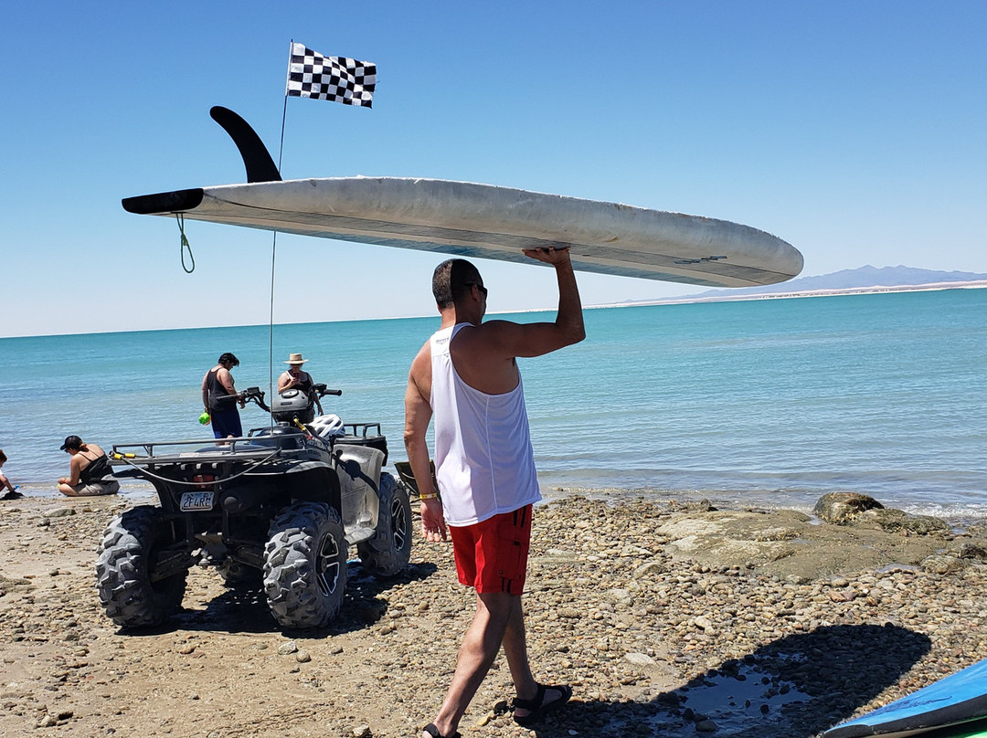 Cholla Bay-La Choya必去景点