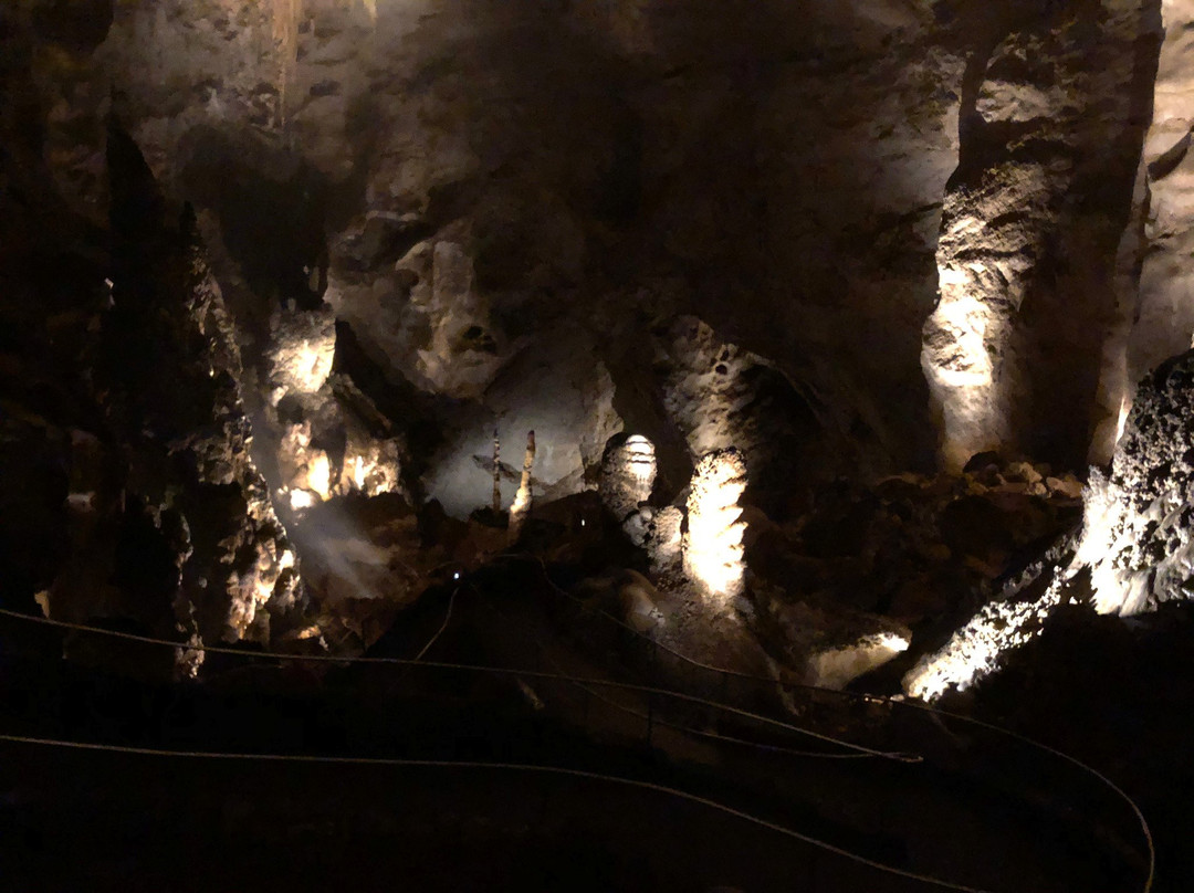 Carlsbad Caverns Natural Entrance Tour景点图片
