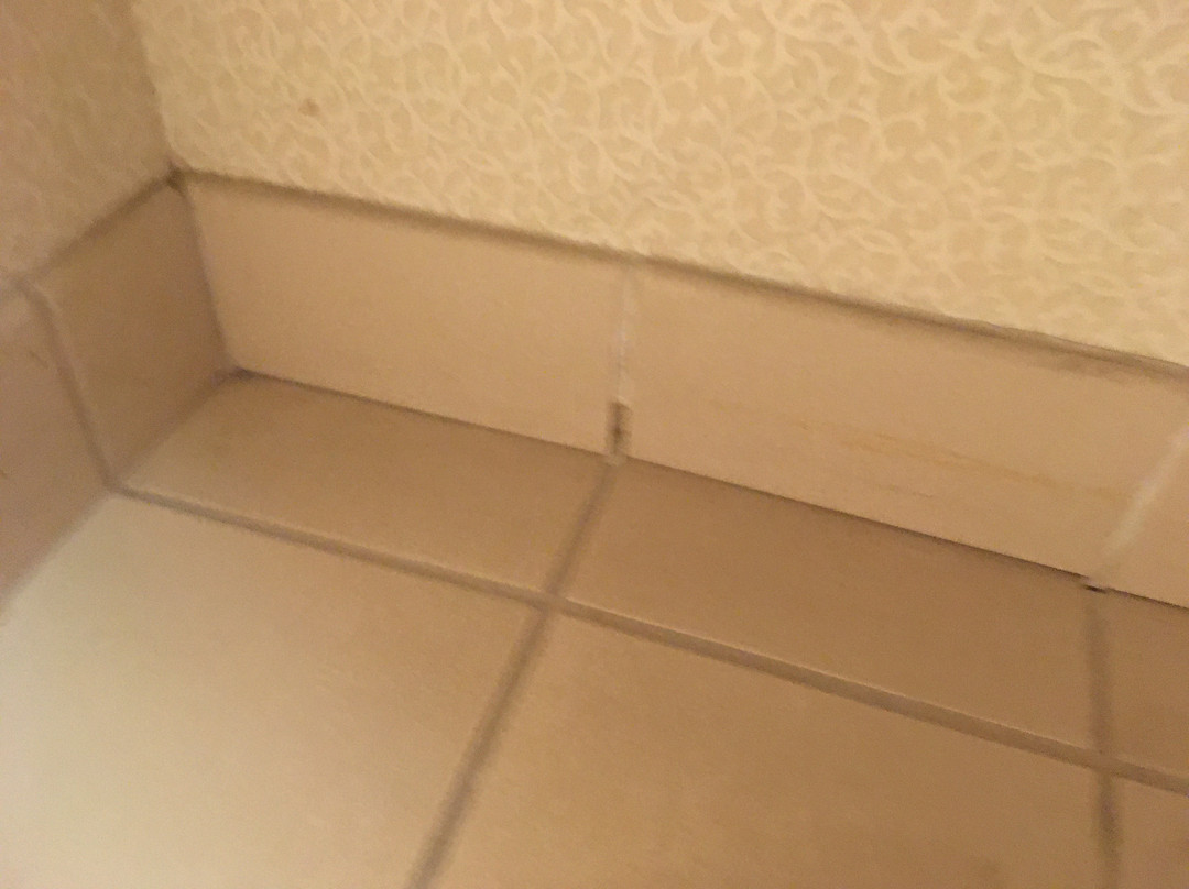 米尔皮塔斯汉普顿酒店主图