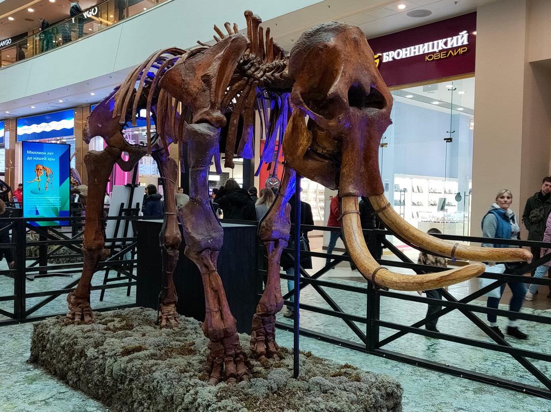 格乐丽雅购物商场-圣彼得堡必去景点