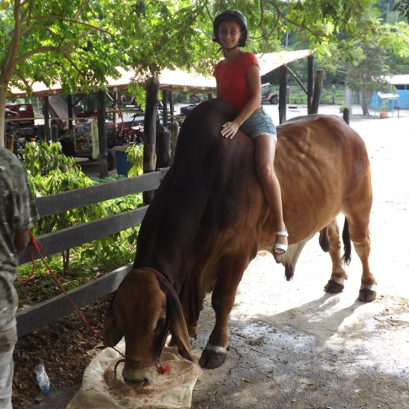 Rancho Los Cacaos-Maimon必去景点