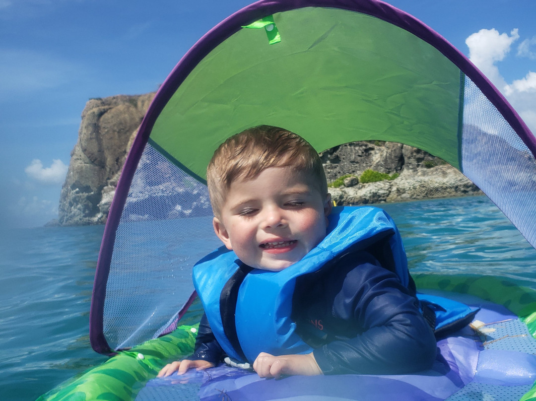 Billy Bones Boatcharters-辛普森湾必去景点