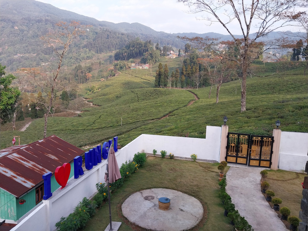 Fores-Tea Homestays