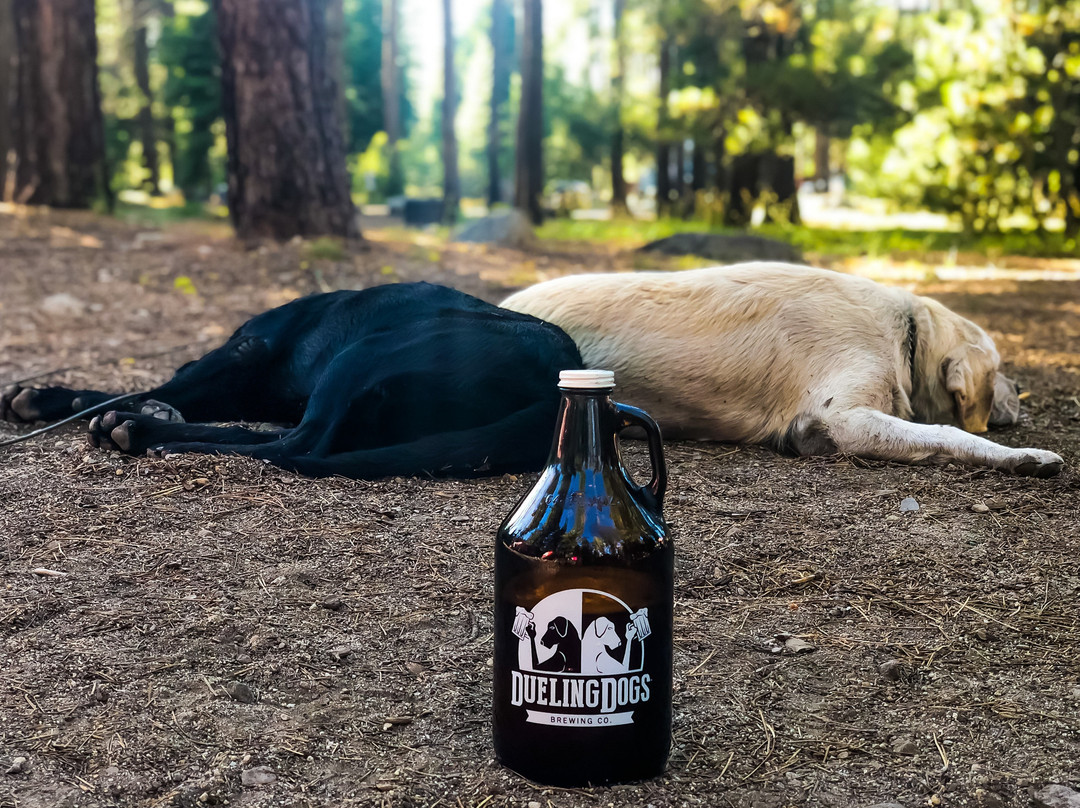 Dueling Dogs Brewing Co.景点图片