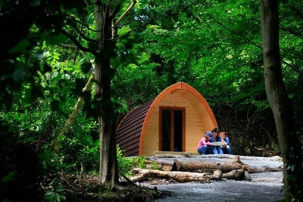 Castle Ward Caravan Park
