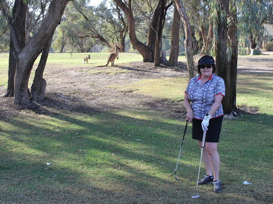 Wade Hooper Golf - Murray River Golf Retreat-米尔杜拉必去景点