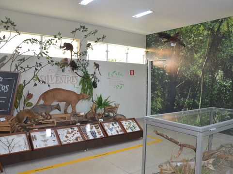 Museu de Historia Natural de Itapira-Itapira必去景点