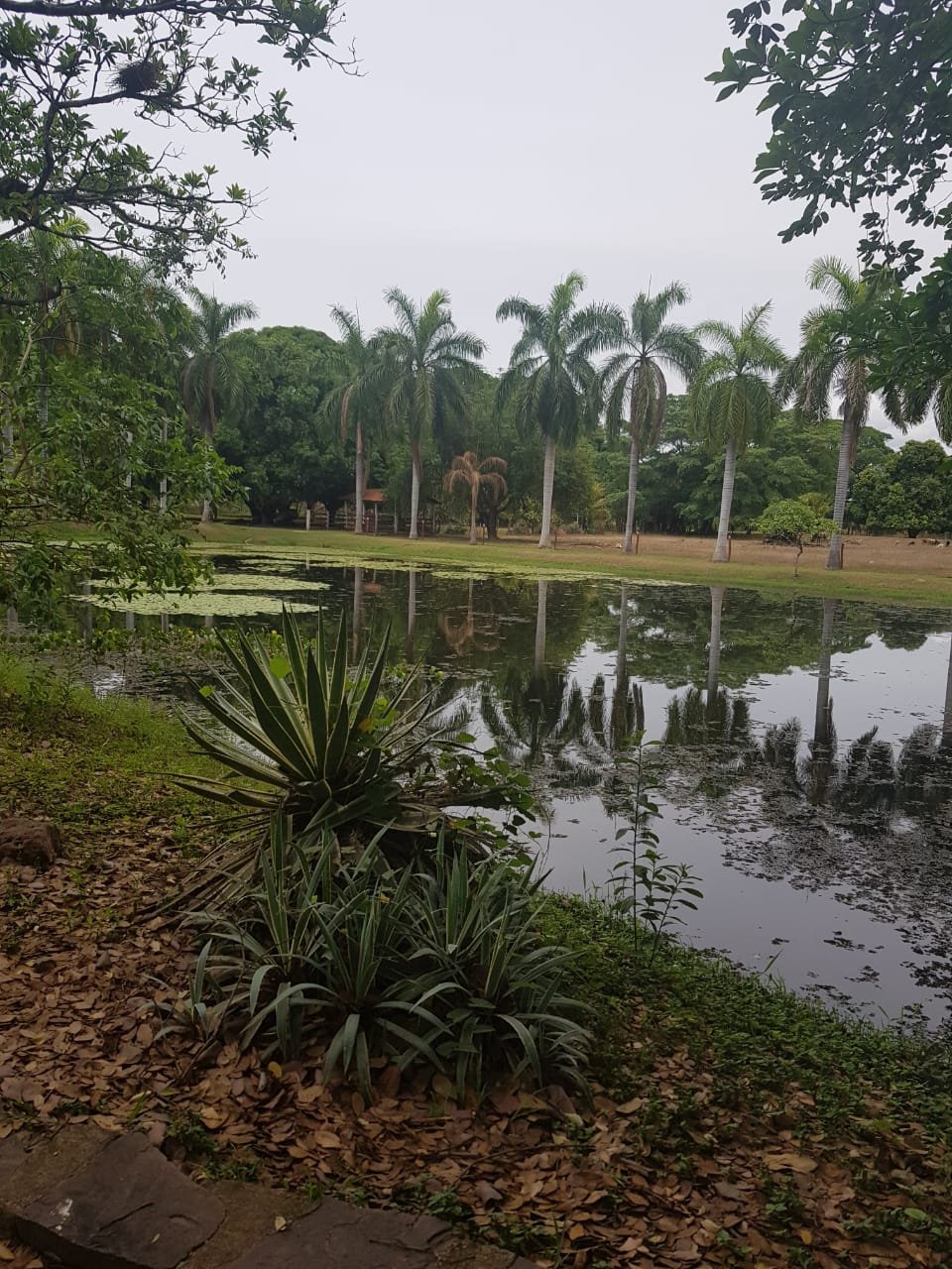 Pousada San Marco-官方